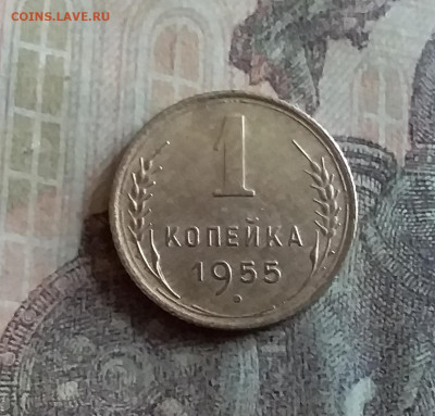 1 копейка 1955. До 12.7.22 в 22.00 - 20220709_154336