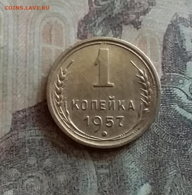 1 копейка 1957. До 12.7.22 в 22.00 - 20220709_154958
