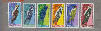 Болгария 1978 дятлы 6м до 15 07 - 8в