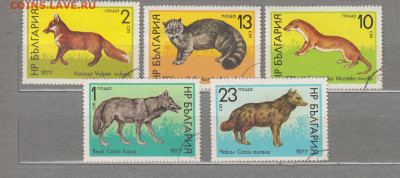 Болгария 1977 фауна 5м до 15 07 - 9а