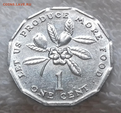 ЯМАЙКА 1 цент 1991 ФАО, Аки aUNC до 16 июля 22-00 мск - ЯМАЙКА 1 цент 1991 20200229_115914