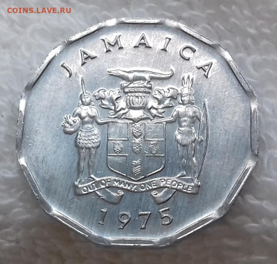 ЯМАЙКА 1 цент 1975 ФАО, Аки aUNC до 16 июля 22-00 мск - ЯМАЙКА 1 цент 1975 ФАО KM 64 20200229_120000