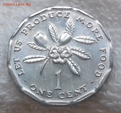 ЯМАЙКА 1 цент 1975 ФАО, Аки aUNC до 16 июля 22-00 мск - ЯМАЙКА 1 цент 1975 ФАО KM 64 20200229_115947