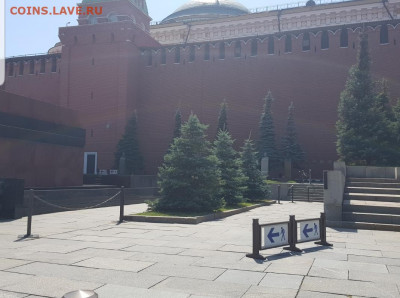 Как вы относитесь к драпировке мавзолея на 9 мая? - Screenshot_20220710-180452_Gallery