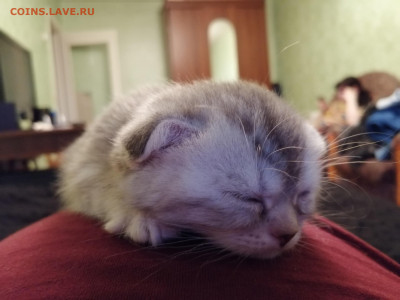 ФОТО - просто фото. Те что получились удачными. - urHOnta26H_0zmhF4YhmpzkbsZE3pBUHuq5sta_5VHDEd-noGMWfGh9Hlfyj4zEEzD0SesHCBrRqof4B