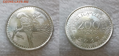 КОЛУМБИЯ 200 песо 2017 Попугай aUNC до 17 июля 22-00 мск - КОЛУМБИЯ 200 песо 2017 20191215_1123