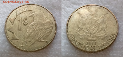 НАМИБИЯ 1 доллар 2010 Орёл до 17 июля 22-00 мск - НАМИБИЯ 1 доллар 2010 20190107_1532