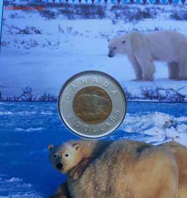 набор биметалл Канада 2 доллара 1996 бона 1986 медведь птица - IMG_9344.JPG