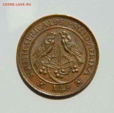 4 пенни 1950 г.(Фауна) до 18.07.22 - DSCN1147.JPG