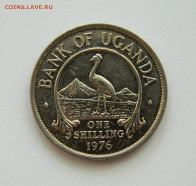 Уганда 1 шиллинг 1976 г. (Фауна). до 18.07.22 - DSCN1232.JPG