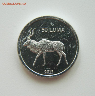 Нагорный Карабах 50 лум 2013  г. (Фауна). до 18.07.22 - DSCN1247.JPG