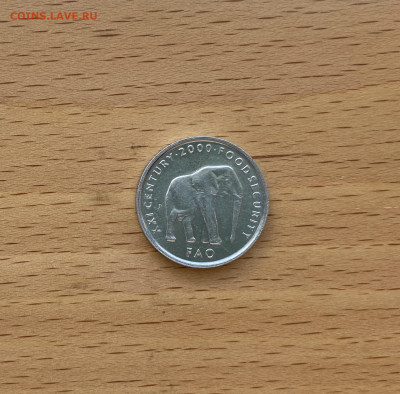 Сомали 5 шиллингов 2000 ФАО Слон фауна животные - IMG_5674.JPG