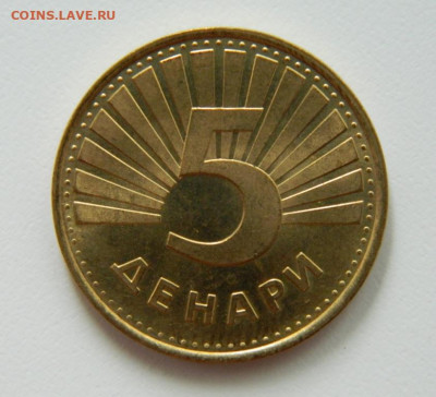 Македония 5 денар 1993 г. (Фауна) до 18.07.22 - DSCN1274.JPG