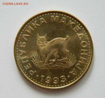 Македония 5 денар 1993 г. (Фауна) до 18.07.22 - DSCN1275.JPG