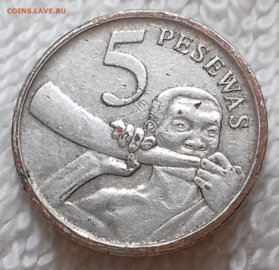 Гана 5 песев 2007 Музыкальный инструмент до 18 июля 22-00мск - Гана 5 песев 2007 20220712_140445