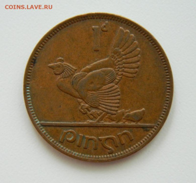 Ирландия 1 пенни 1965 г. (Фауна). до 18.07.22 - DSCN1258.JPG