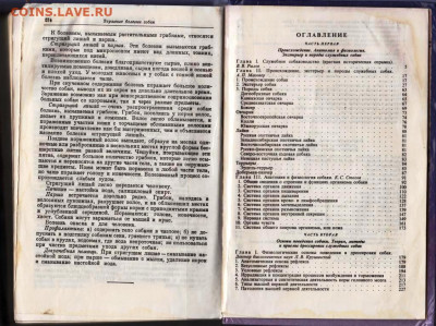 CЛУЖЕБНАЯ СОБАКА 1994 г. до 19.07.22 г. в 23.00 - 002