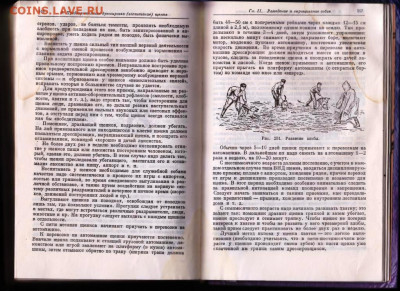 CЛУЖЕБНАЯ СОБАКА 1994 г. до 19.07.22 г. в 23.00 - 003