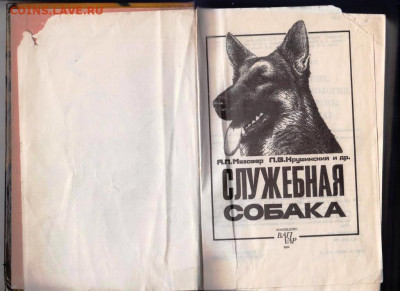 CЛУЖЕБНАЯ СОБАКА 1994 г. до 19.07.22 г. в 23.00 - 007
