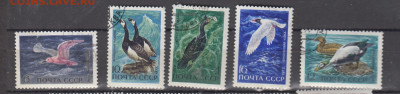 СССР 1972 птицы 5м до 18 07 - 252
