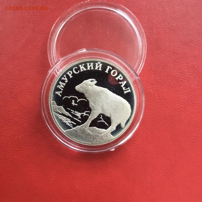 1 рубль 2002 года Амурский горал  до 19.07.22 в 22-00 - 888D4F96-CF5A-4BE7-992A-E560BD5525E1