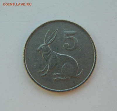 Зимбабве 5 центов 1988 г. (Фауна). до 19.07.22 - DSCN1474.JPG