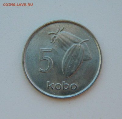 Нигерия 5 кобо 1976 г. до 19.07.22 - DSCN1436.JPG