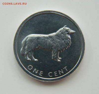 Острова Кука 1 цент 2003 г. (Собака Колли) до 19.07.22 - DSCN1377.JPG