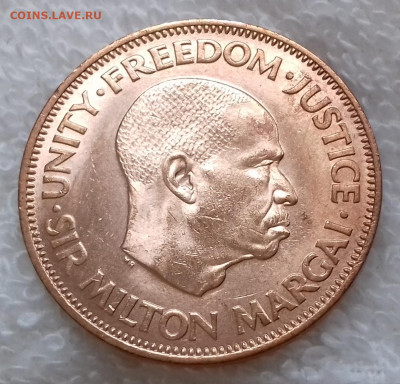 Сьерра-Леоне 1 цент 1964 Пальмовые ветви aUNC 19.07 22-00мск - Сьерра-Леоне 1 цент 1964 20200229_112033