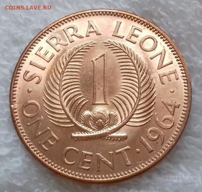 Сьерра-Леоне 1 цент 1964 Пальмовые ветви aUNC 19.07 22-00мск - Сьерра-Леоне 1 цент 1964 20200229_112015