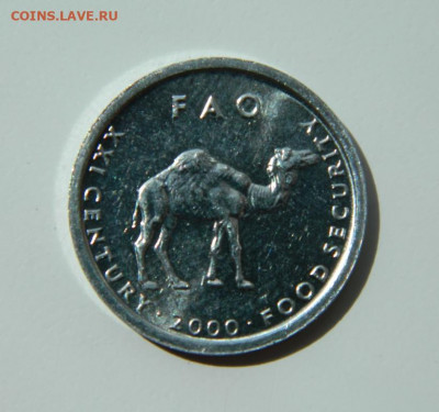 Сомали 10 шиллингов 2000 г.(Юбилейная) Фауна до 20.07.22 - DSCN0021.JPG