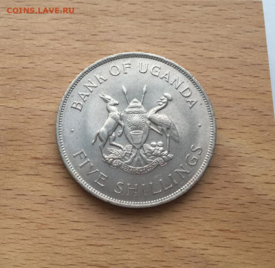 Крона Шайба Уганда 5 шиллингов 1968 ФАО Корова теленок Герб - krona_shajba_uganda_5_shillingov_1968_fao_korova_telenok_gerb_zhivotnye_fauna (1)