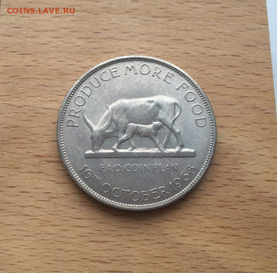 Крона Шайба Уганда 5 шиллингов 1968 ФАО Корова теленок Герб - krona_shajba_uganda_5_shillingov_1968_fao_korova_telenok_gerb_zhivotnye_fauna