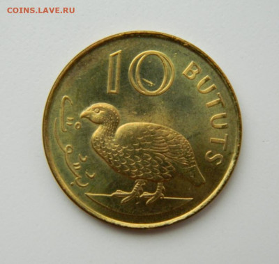 Гамбия 10 бутут 1998 г. (Фауна) до 20.07.22 - DSCN1506.JPG
