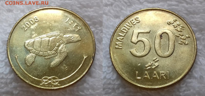 Мальдивские острова 50 лари 2008 Черепаха 20 июля 22-00 мск - Мальдивские острова 50 лари 2008 20191226_1206