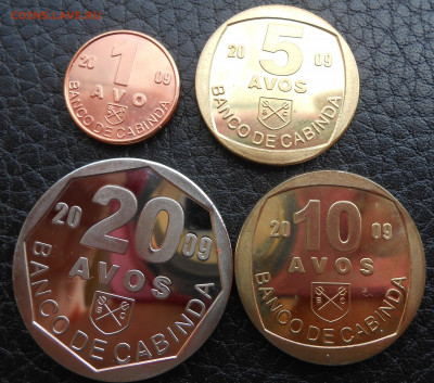 Республика Кабинда Рыбы - DSCN4459.JPG