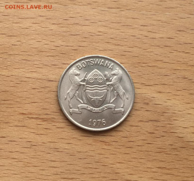 Ботсвана 25 тхебе 1976 Бык Зебу фауна животные ФАО FAO - botsvana_25_tkhebe_1976_byk_zebu_fauna_zhivotnye_fao_fao (1)