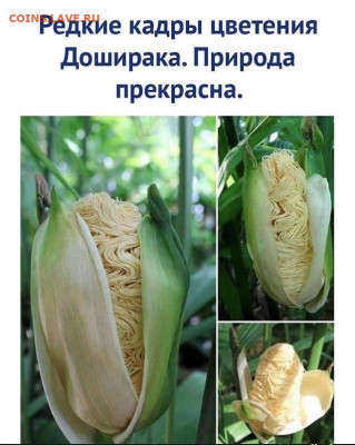 юмор - 16970948