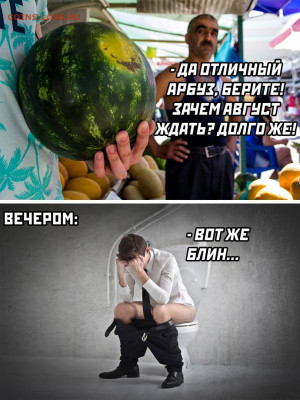 Сколько стоят арбузы в вашем городе? - c9Mt6XEVgaY
