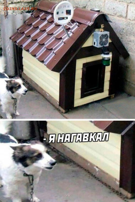 юмор - BYHoAts-_io