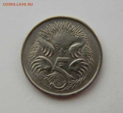 Австралия 5 центов 1966 г. (Фауна) до 21.07.22 - DSCN1584.JPG