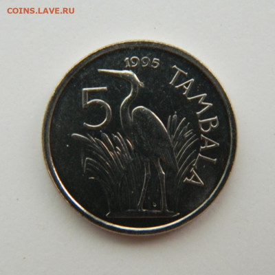 Малави 5 тамбала 1995 г. (Фауна)  до 21.07.22 - DSCN1615.JPG
