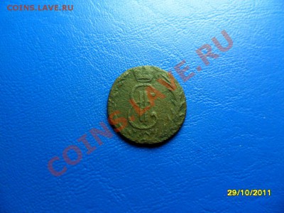 Сибирская денга 1769 до 26.11.11 в 22-00 мск(короткий аук) - SAM_4305.JPG