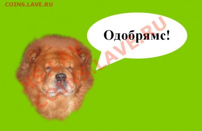 Валерчик 73 - репа 100!!!!! - 678 copy.JPG