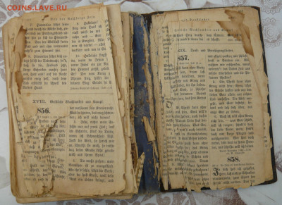 Библия 1914г. Эстония? Оценка. - P1090120.JPG