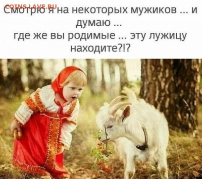 юмор - 16979382