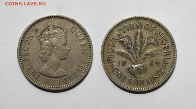 Британская Нигерия 1 шиллинг 1959 года - 26.07 - IMG_20220719_065620