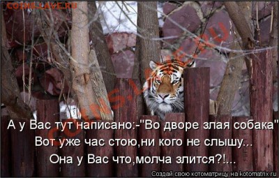 юмор - злая собака