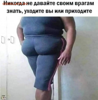 юмор - 16985478