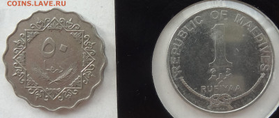 2 монеты Ливия+Мальдивы до 26.07. в 22:00мск. - DSC00795 (2).JPG